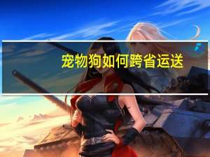 宠物狗如何跨省运送