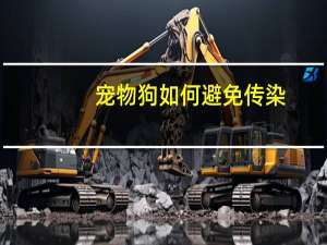 宠物狗如何避免传染