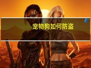 宠物狗如何防盗
