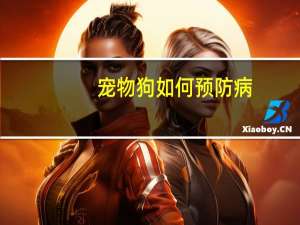 宠物狗如何预防病