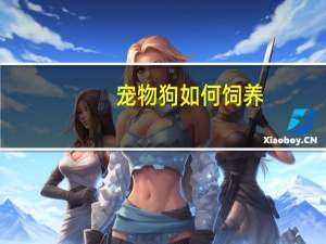 宠物狗如何饲养
