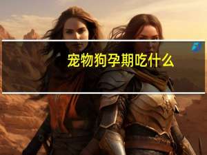 宠物狗孕期吃什么