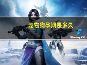 宠物狗孕期是多久