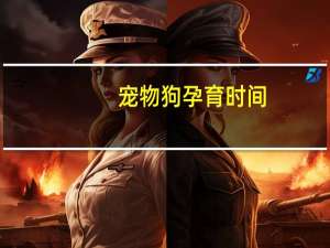 宠物狗孕育时间