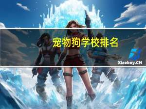 宠物狗学校排名