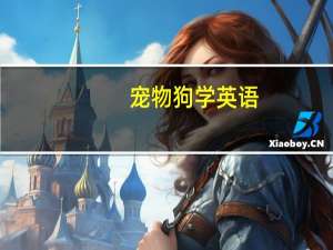 宠物狗学英语