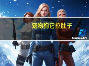 宠物狗它拉肚子