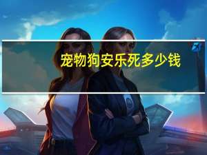 宠物狗安乐死多少钱