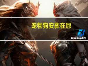 宠物狗安葬在哪