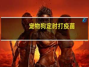宠物狗定时打疫苗
