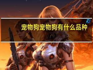 宠物狗宠物狗有什么品种