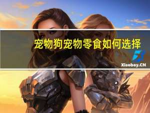 宠物狗宠物零食如何选择