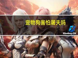 宠物狗害怕屠夫吗