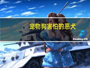 宠物狗害怕的恶犬