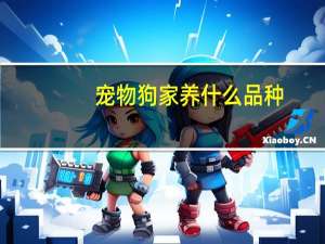宠物狗家养什么品种