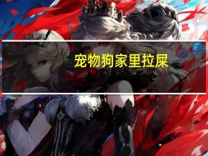 宠物狗家里拉屎
