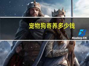 宠物狗寄养多少钱