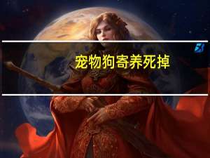 宠物狗寄养死掉