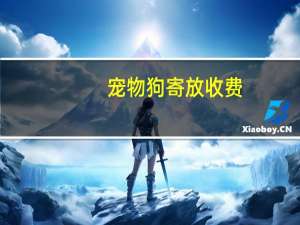 宠物狗寄放收费