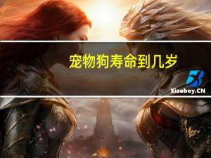 宠物狗寿命到几岁