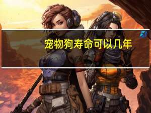 宠物狗寿命可以几年