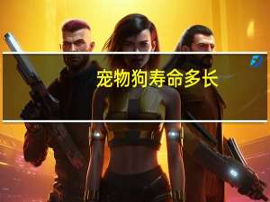 宠物狗寿命多长