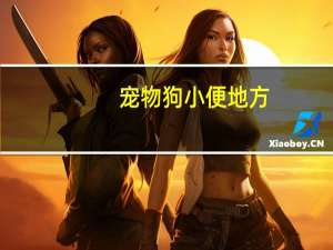 宠物狗小便地方