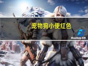 宠物狗小便红色