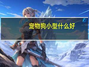 宠物狗小型什么好