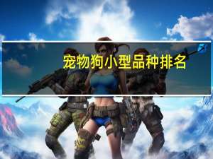 宠物狗小型品种排名