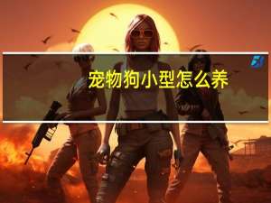 宠物狗小型怎么养