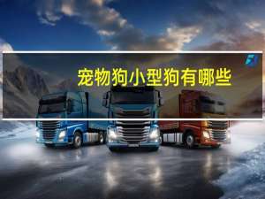 宠物狗小型狗有哪些