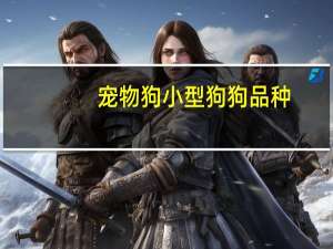 宠物狗小型狗狗品种