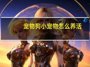 宠物狗小宠物怎么养活