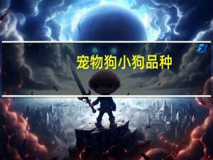 宠物狗小狗品种