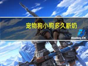 宠物狗小狗多久断奶