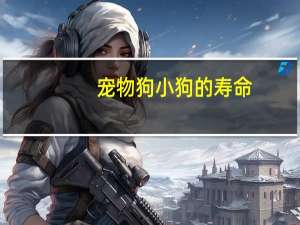 宠物狗小狗的寿命