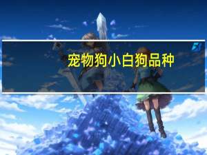 宠物狗小白狗品种