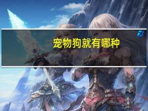 宠物狗就有哪种