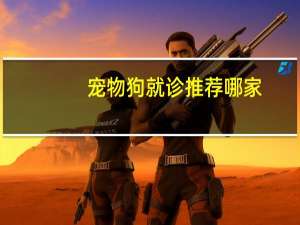 宠物狗就诊推荐哪家