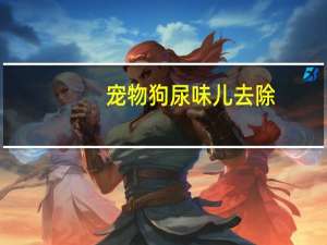 宠物狗尿味儿去除