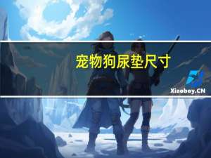 宠物狗尿垫尺寸