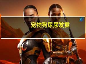 宠物狗尿尿发黄
