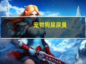 宠物狗尿尿臭