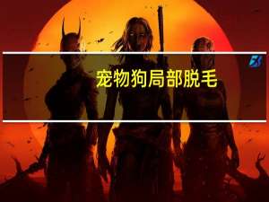 宠物狗局部脱毛