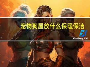 宠物狗屋放什么保暖保洁