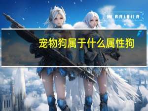 宠物狗属于什么属性狗