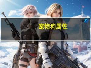 宠物狗属性