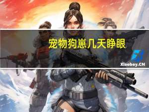 宠物狗崽几天睁眼