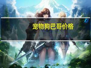 宠物狗巴哥价格